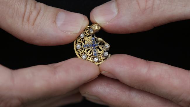 Python Hunt Turns up Unexpected Gold