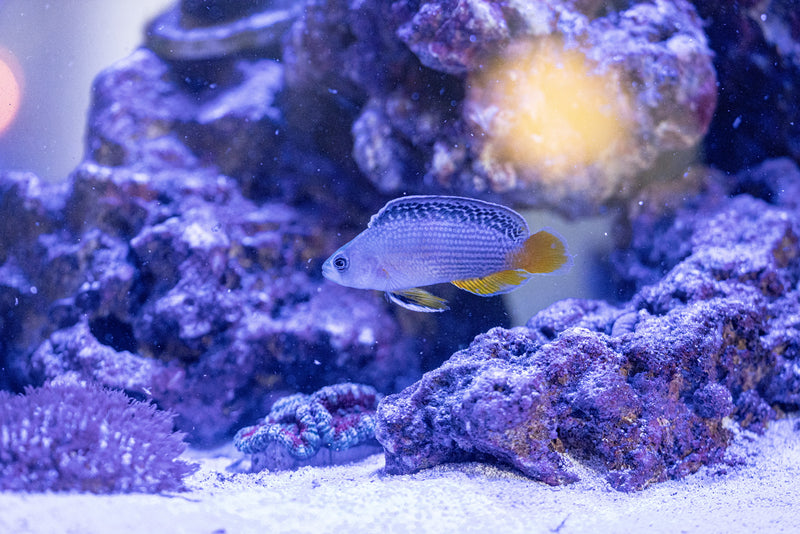 A Trip to Boca Raton's Aquatic Wonderland