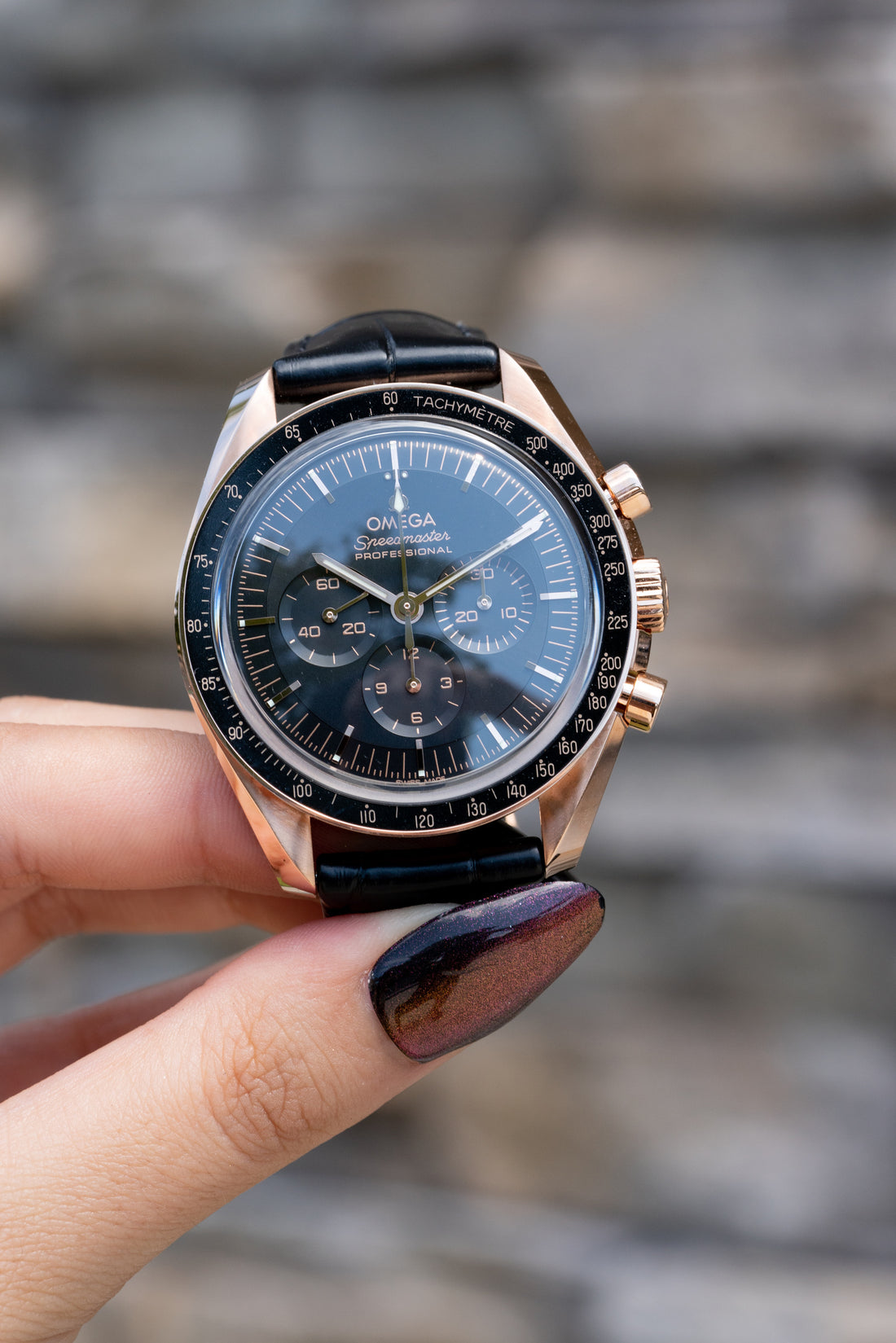 Omega Professional Moonwatch