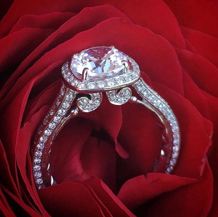 Rose All Day Boca Raton