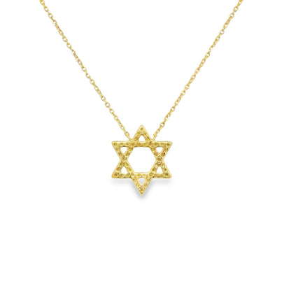 14k Yellow Gold Natural Diamond Star of David Pendant Necklace