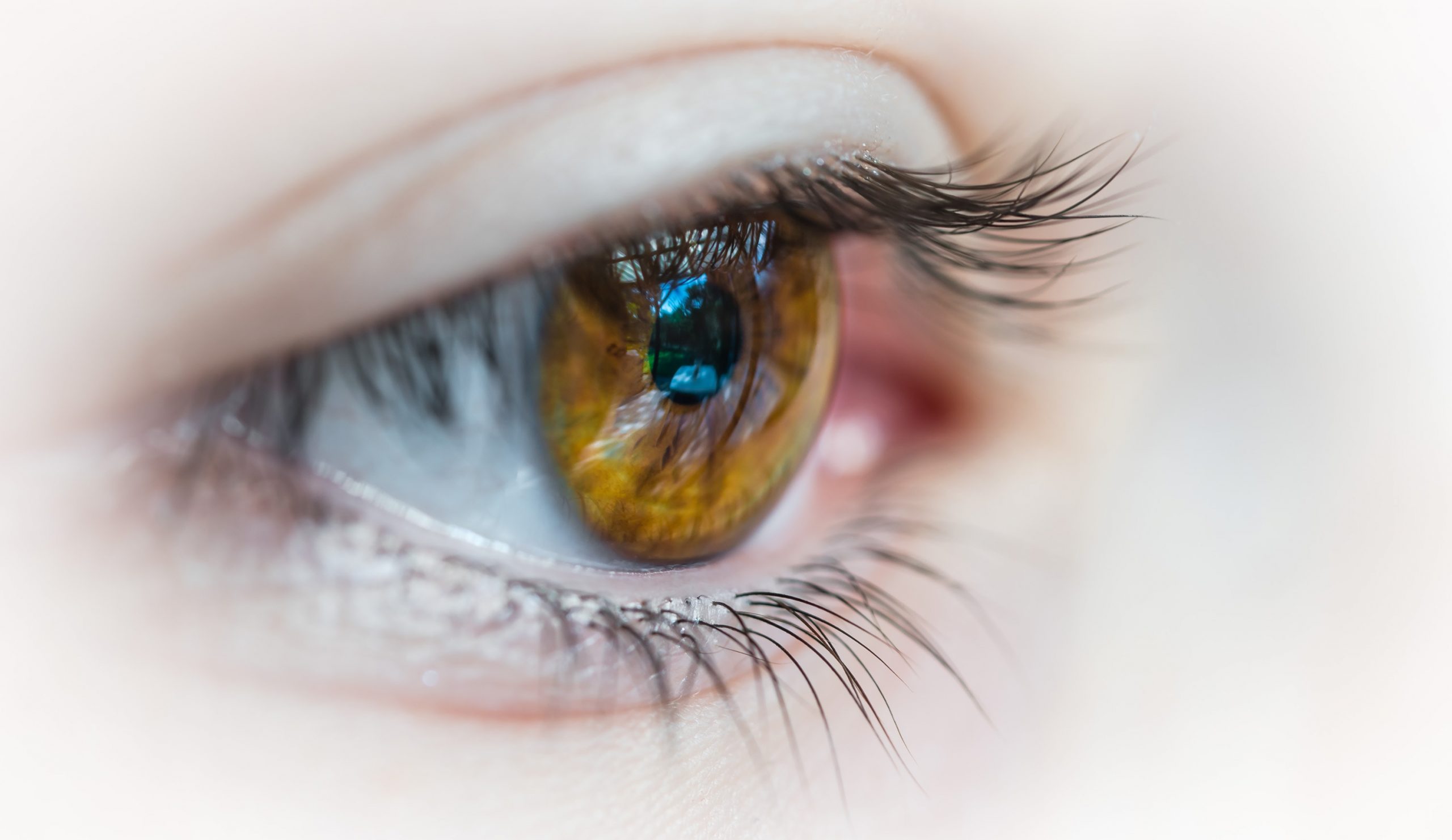 eye jewelry implants