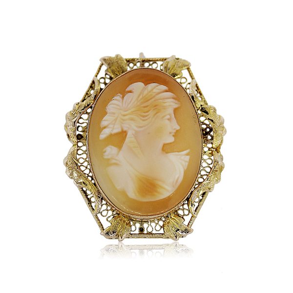 You are Viewing this Vintage Cameo Pin!