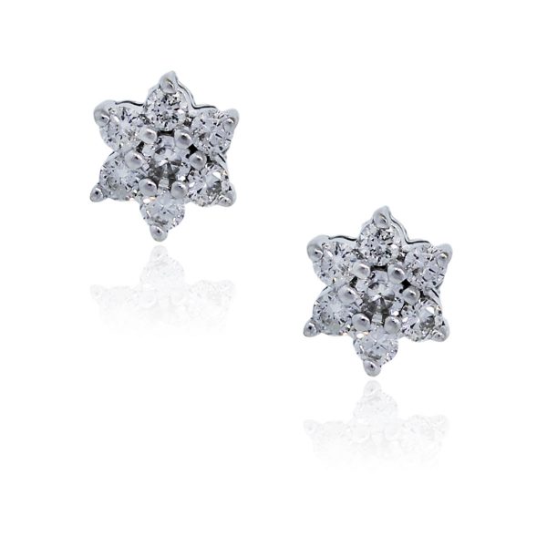 You are viewing these 14K White Gold Diamond Flower Stud Earrings!