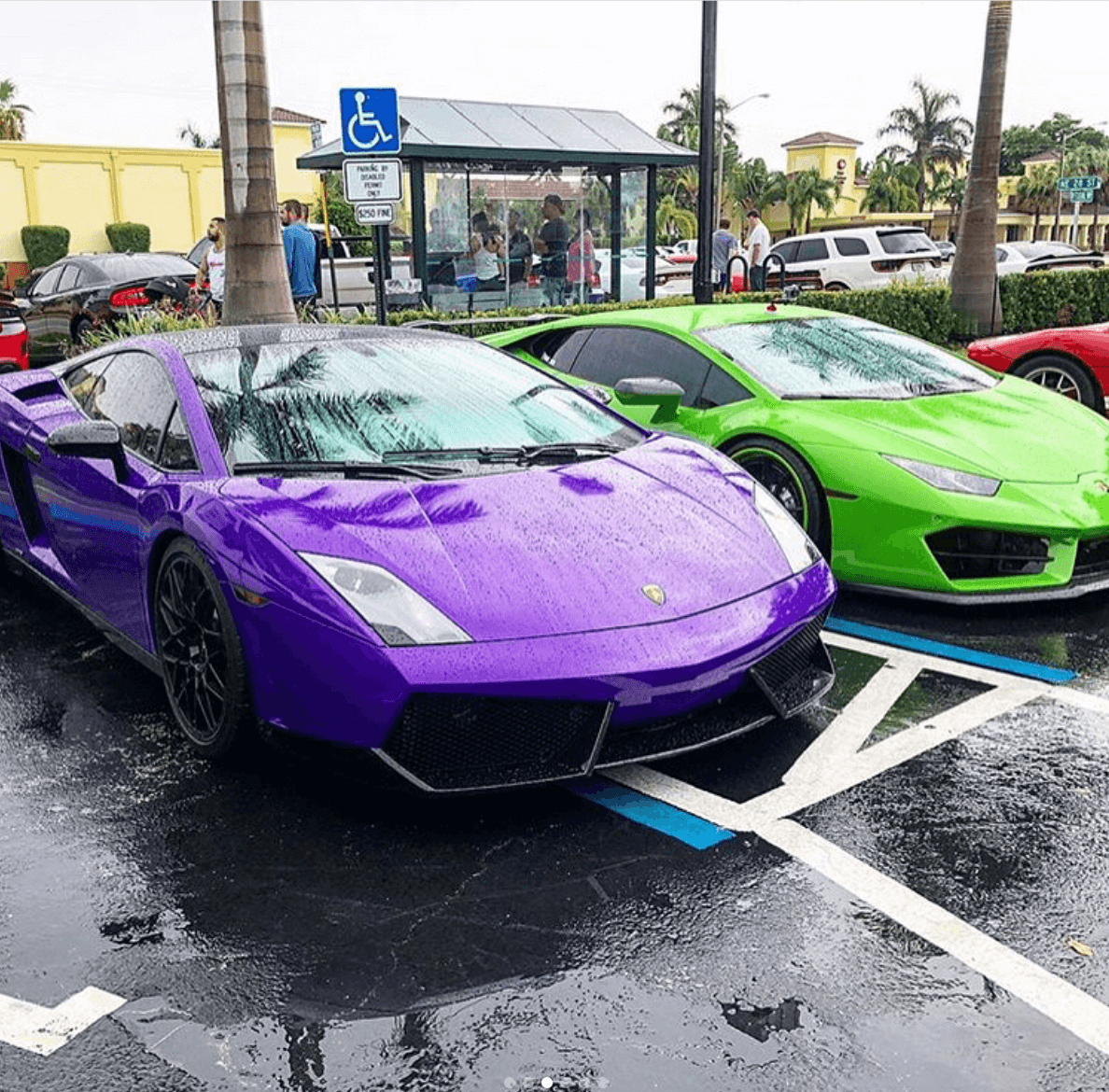 exotic car show florida 2018