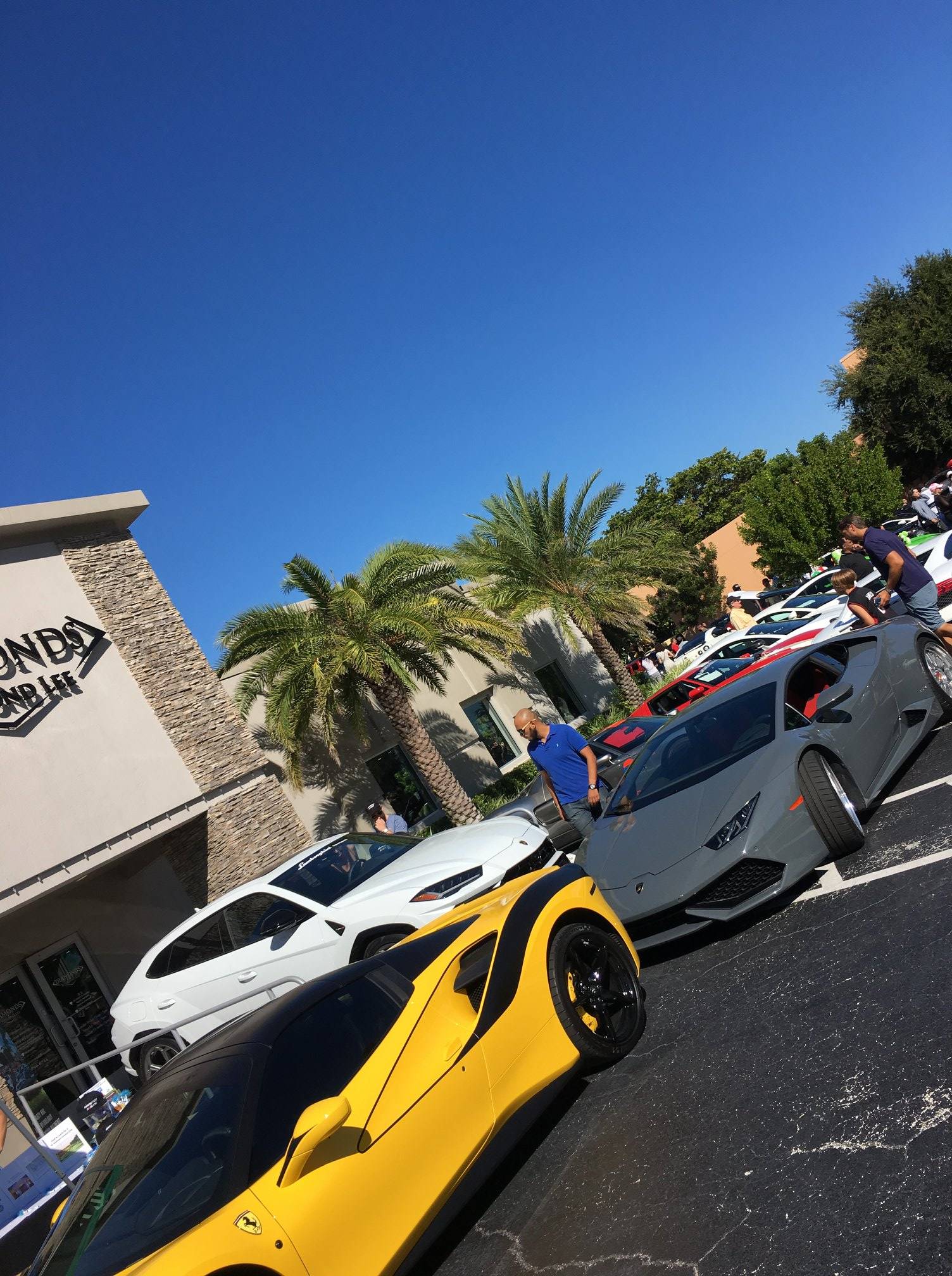 boca raton concours 2018