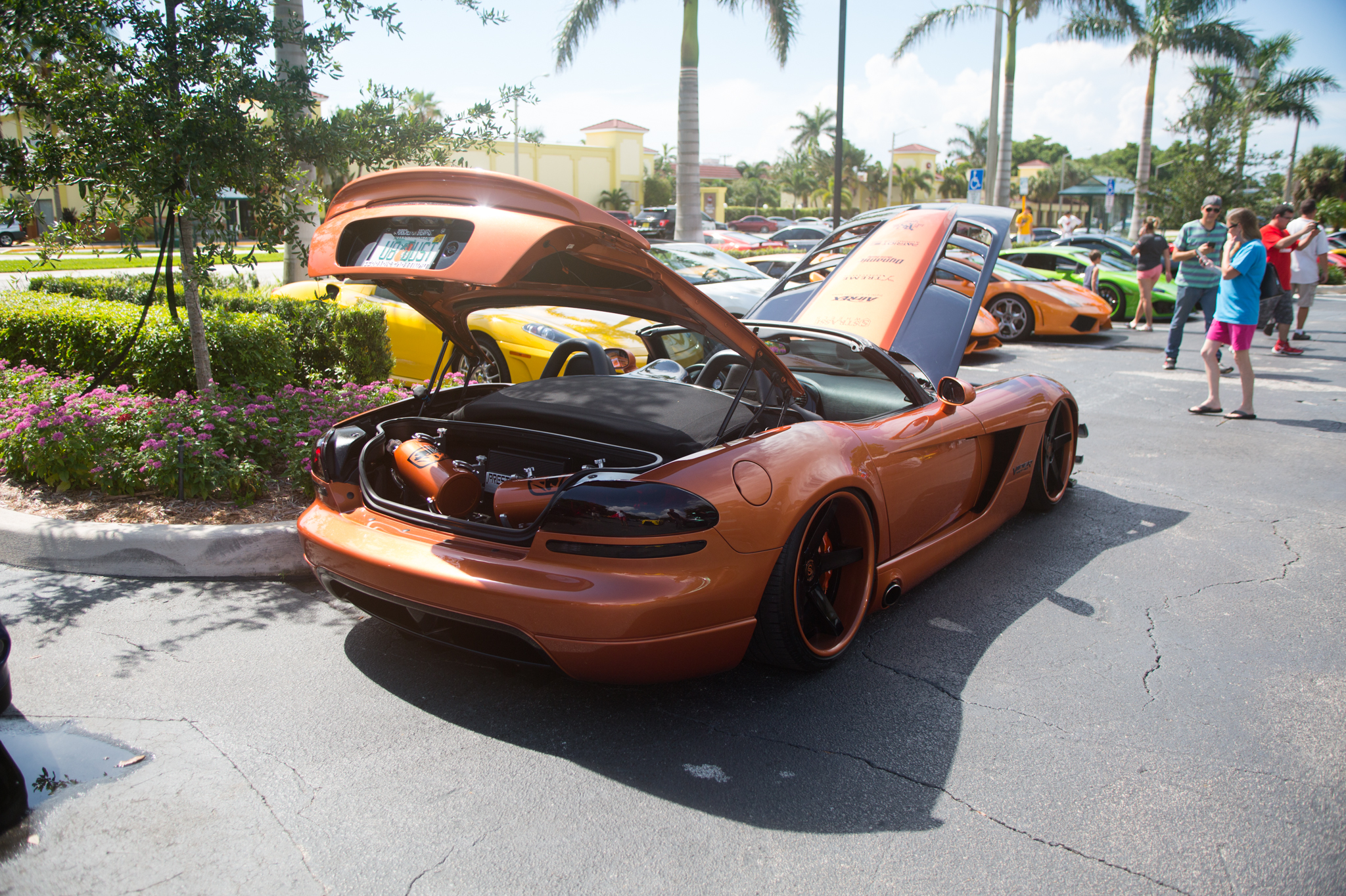 Dodge Viper - Car show in Boca Raton