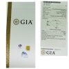 18k Two Tone 0.50ctw Fancy Yellow GIA Certified Halo Pendant Necklace