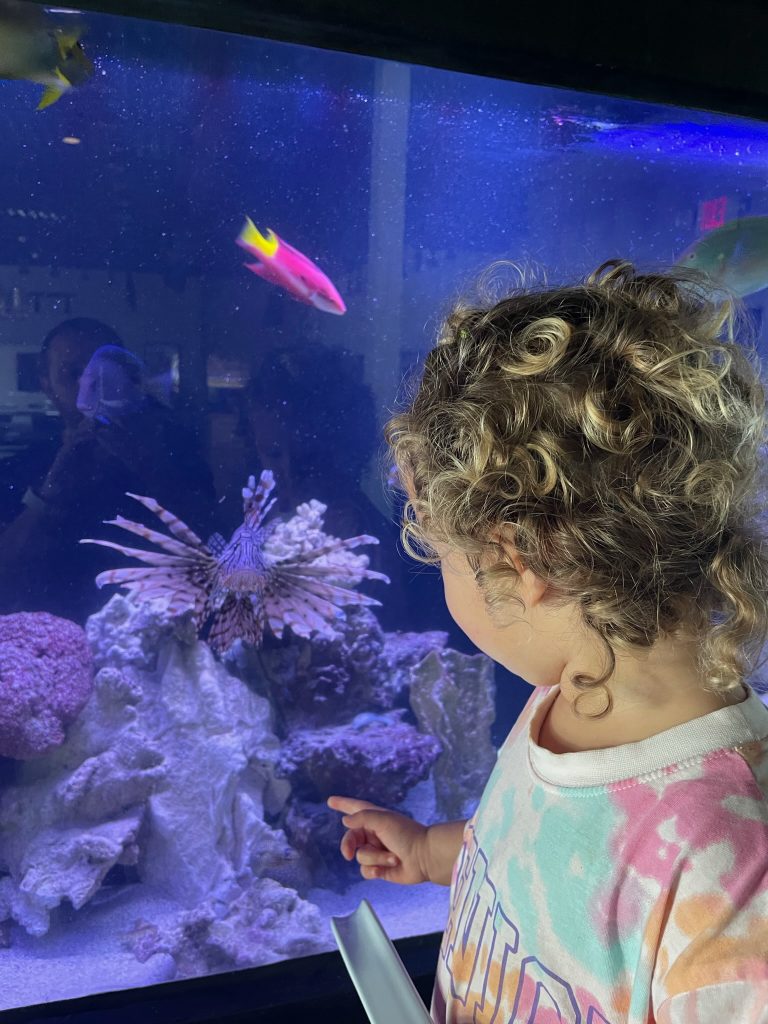 The Opening of Boca Raton Aquarium – Raymond Lee Jewelers