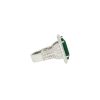 GIA 18k White Gold Natural 13.07 Carat Emerald & Natural Diamond Halo Ring
